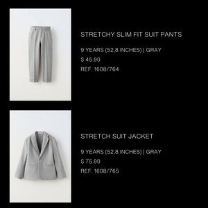 Zara Light Gray Blazer and pants